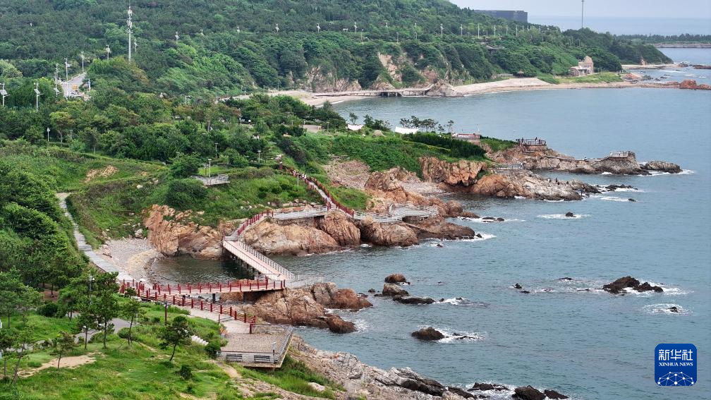 山东:近海岸线修复让滨海飘扬生态“绿丝带”