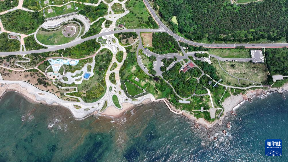 山东:近海岸线修复让滨海飘扬生态“绿丝带”