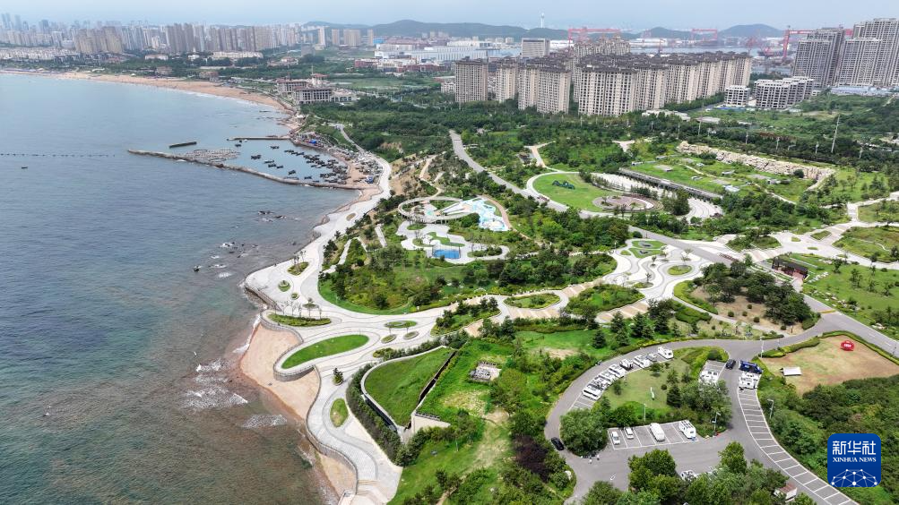 山东:近海岸线修复让滨海飘扬生态“绿丝带”