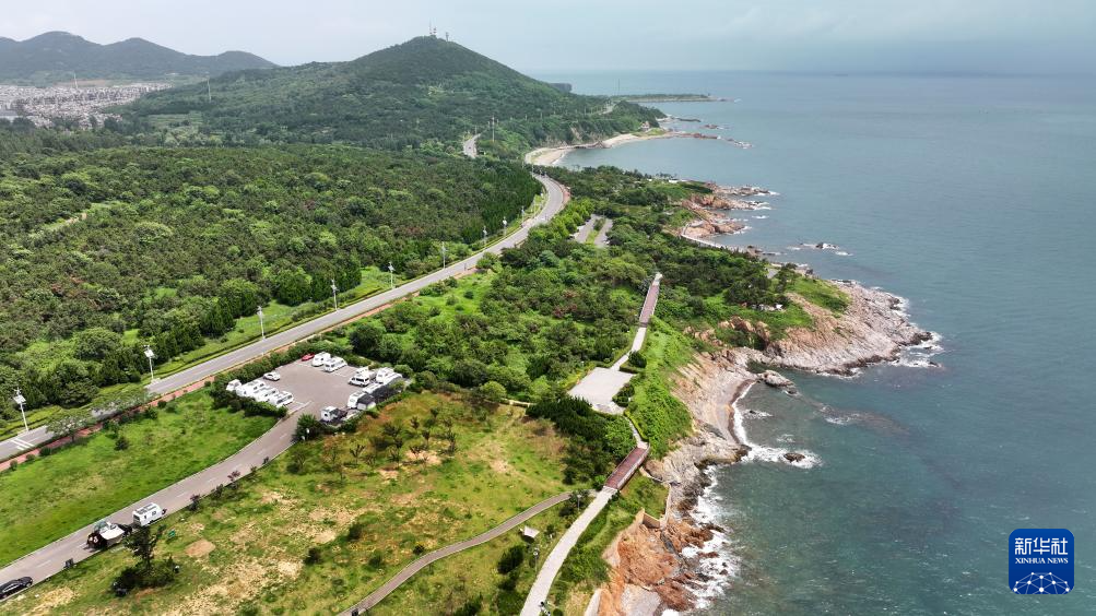 山东:近海岸线修复让滨海飘扬生态“绿丝带”