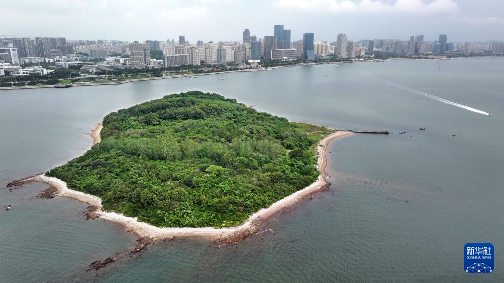 山东:近海岸线修复让滨海飘扬生态“绿丝带”