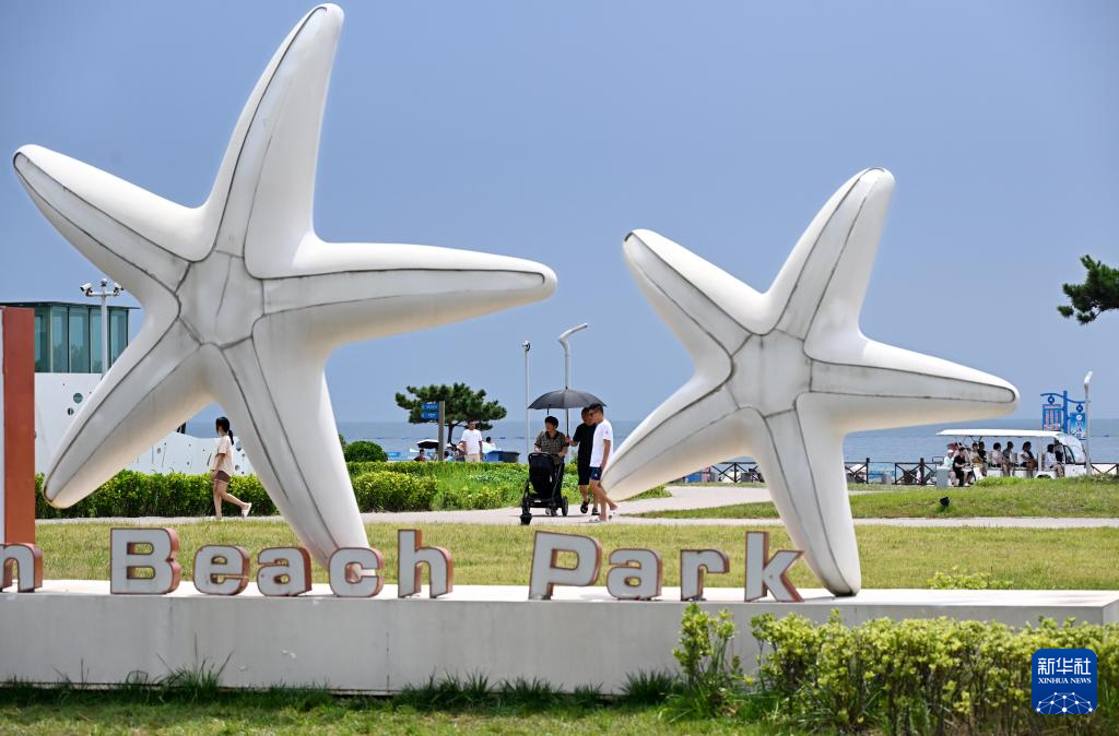 山东:近海岸线修复让滨海飘扬生态“绿丝带”