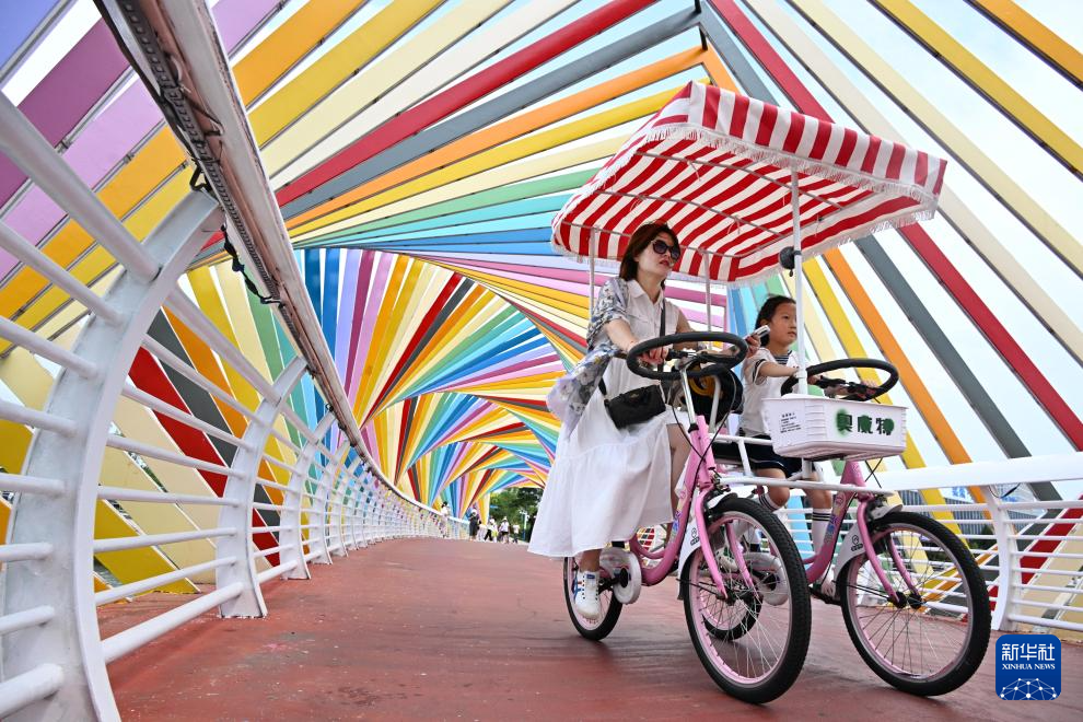 山东:近海岸线修复让滨海飘扬生态“绿丝带”