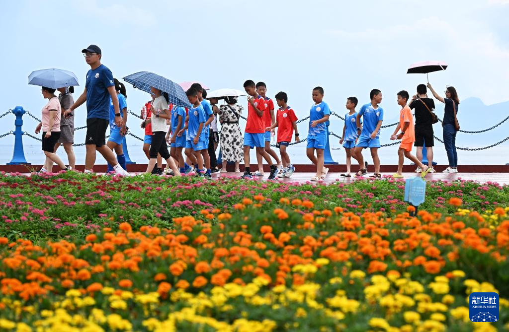 山东:近海岸线修复让滨海飘扬生态“绿丝带”