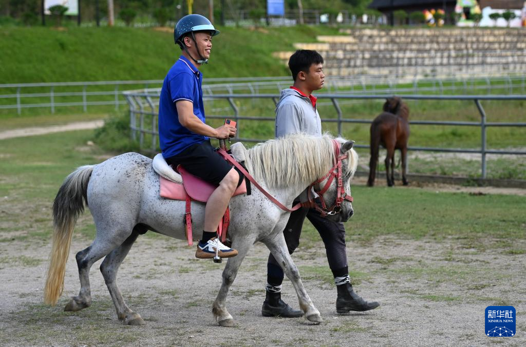 广西德保：古老矮马助推现代旅游业