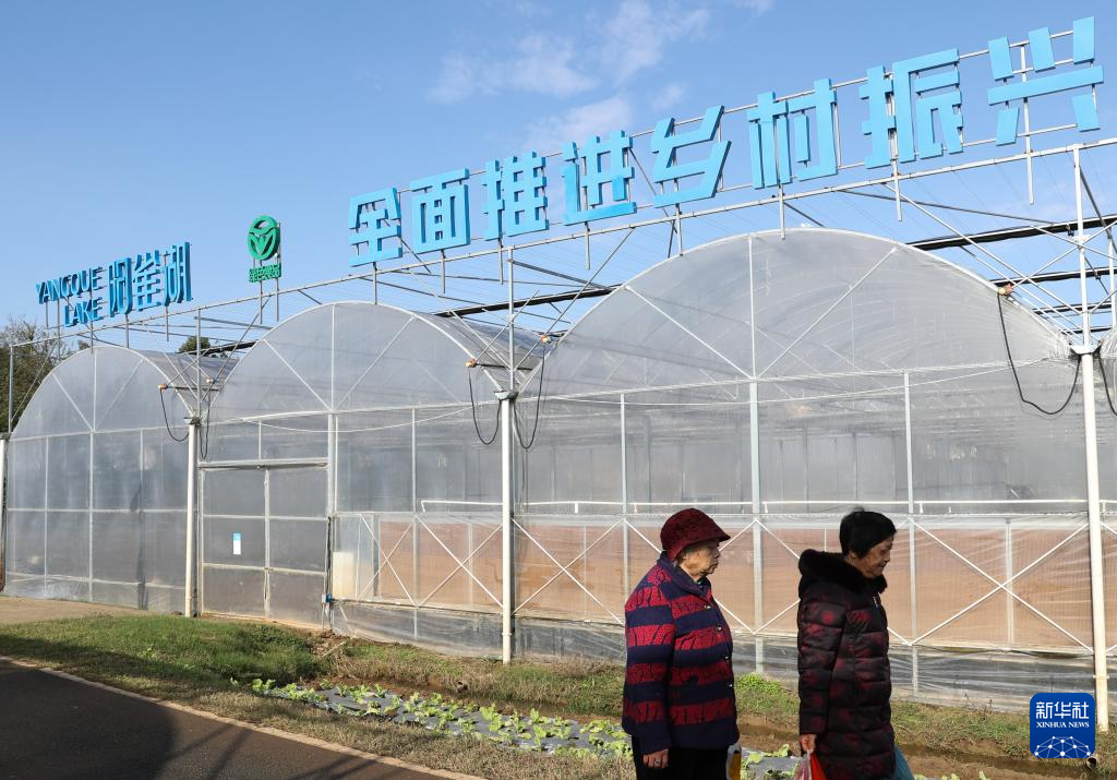 高质量发展调研行丨科技赋能奏响湖南乡村振兴“椒”响曲