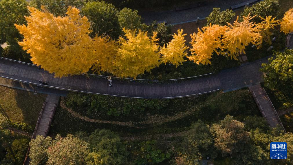 城市巡礼丨芜湖：长江明珠 创新之城