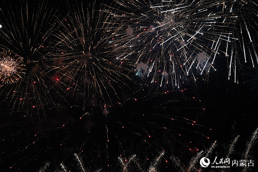 内蒙古鄂尔多斯:“科技范儿”点亮元宵夜 绚丽的焰火在鄂尔多斯市康巴什区上空绽放。人民网记者 刘艺琳摄