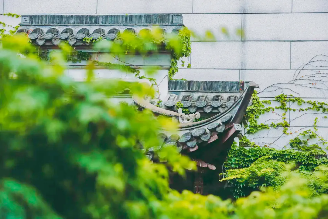 小普说节气 丨 雨水:甘雨时降 万物以嘉