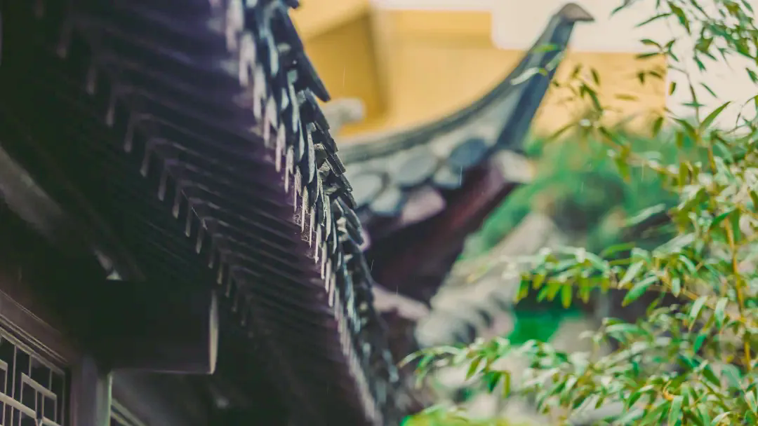 小普说节气 丨 雨水:甘雨时降 万物以嘉