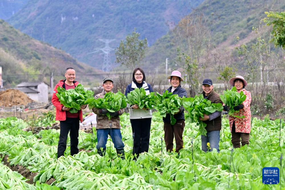 可爱的乡村——大山巾帼“领头雁”