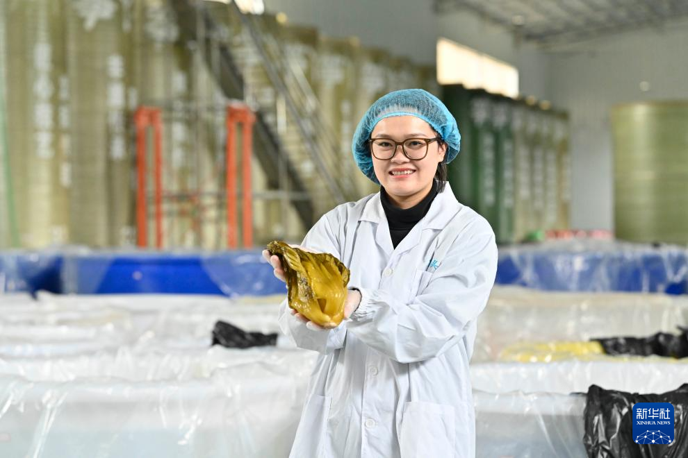 可爱的乡村——大山巾帼“领头雁”