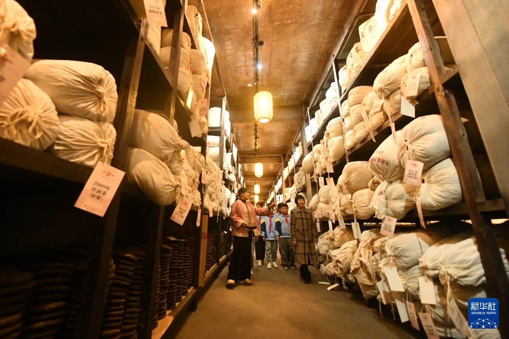 可爱的乡村——大山巾帼“领头雁”