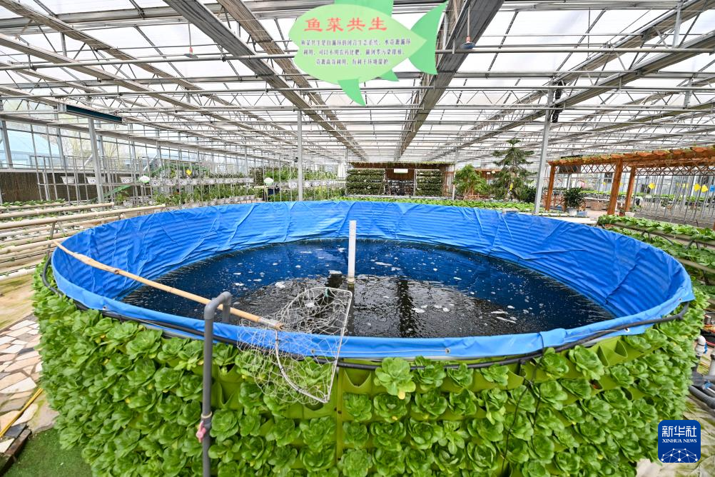智慧农业助力增产增收