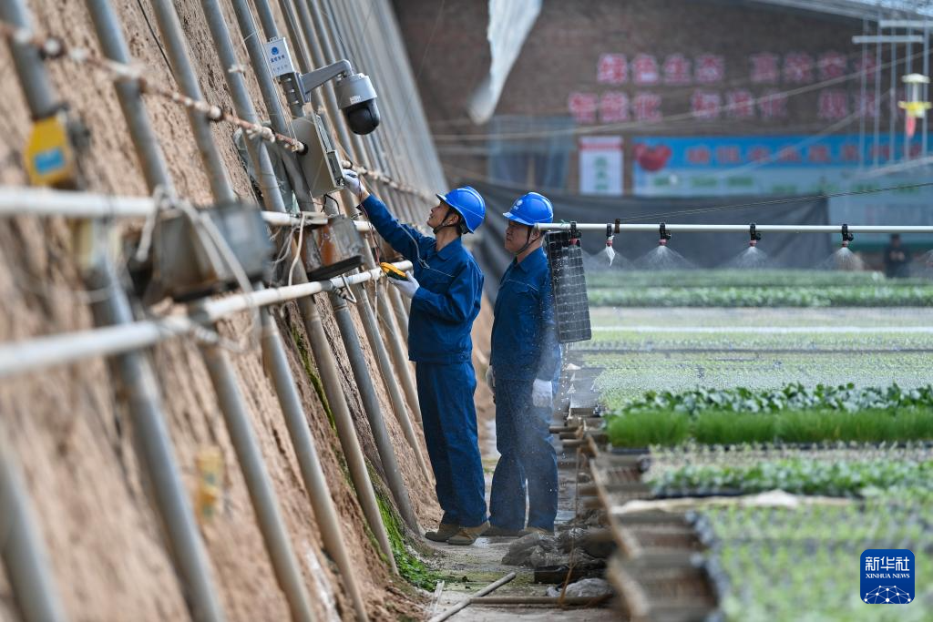 智慧农业助力增产增收