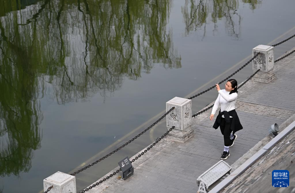 西安:梅红柳绿春色至
