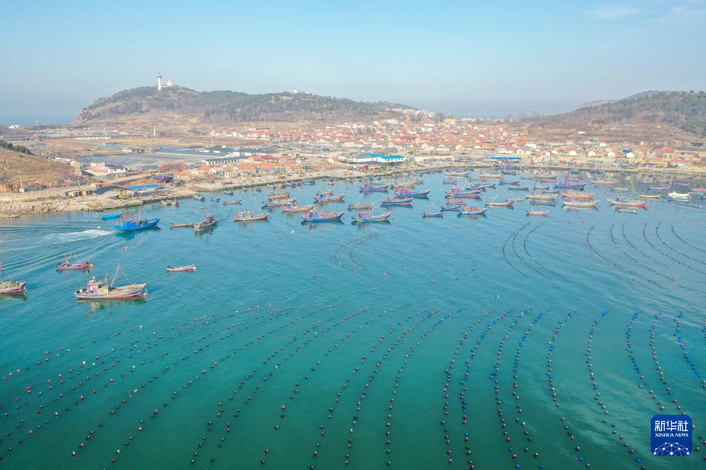 山东长岛:“海上春耕”生产忙