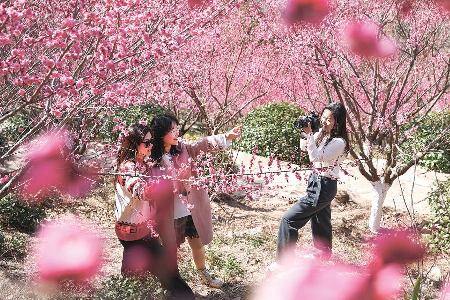 江苏连云港：踏青赏花正好时