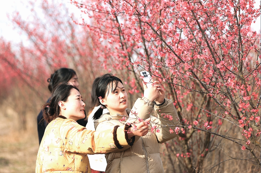 江苏连云港：踏青赏花正好时