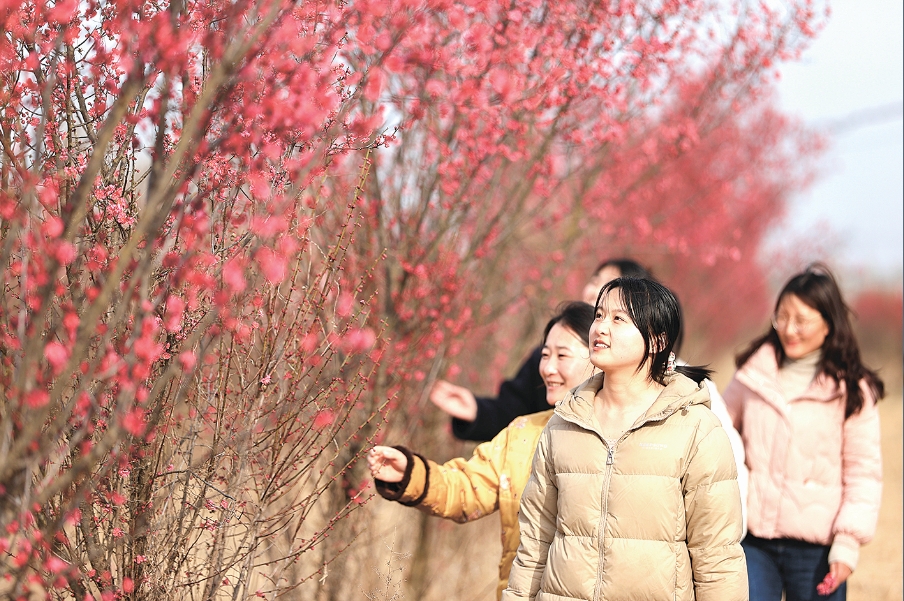 江苏连云港：踏青赏花正好时
