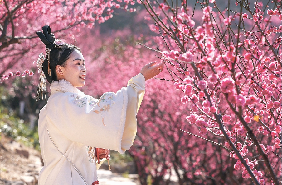 江苏连云港：踏青赏花正好时