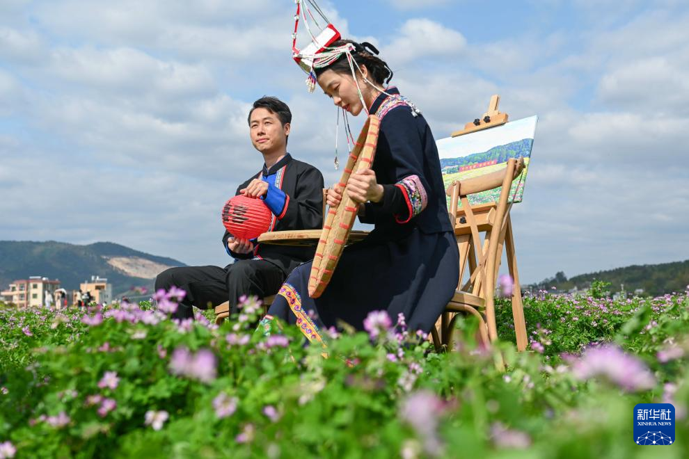 紫云花海映新人
