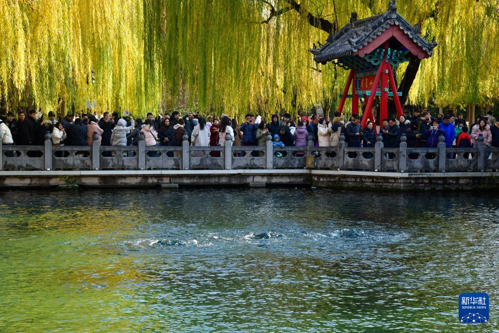 中国之城｜济南：恍若江南，不经意就会邂逅泉水