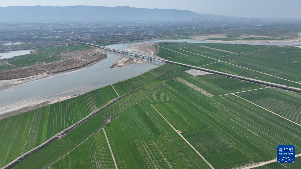 陕西临潼：春分至 农事忙