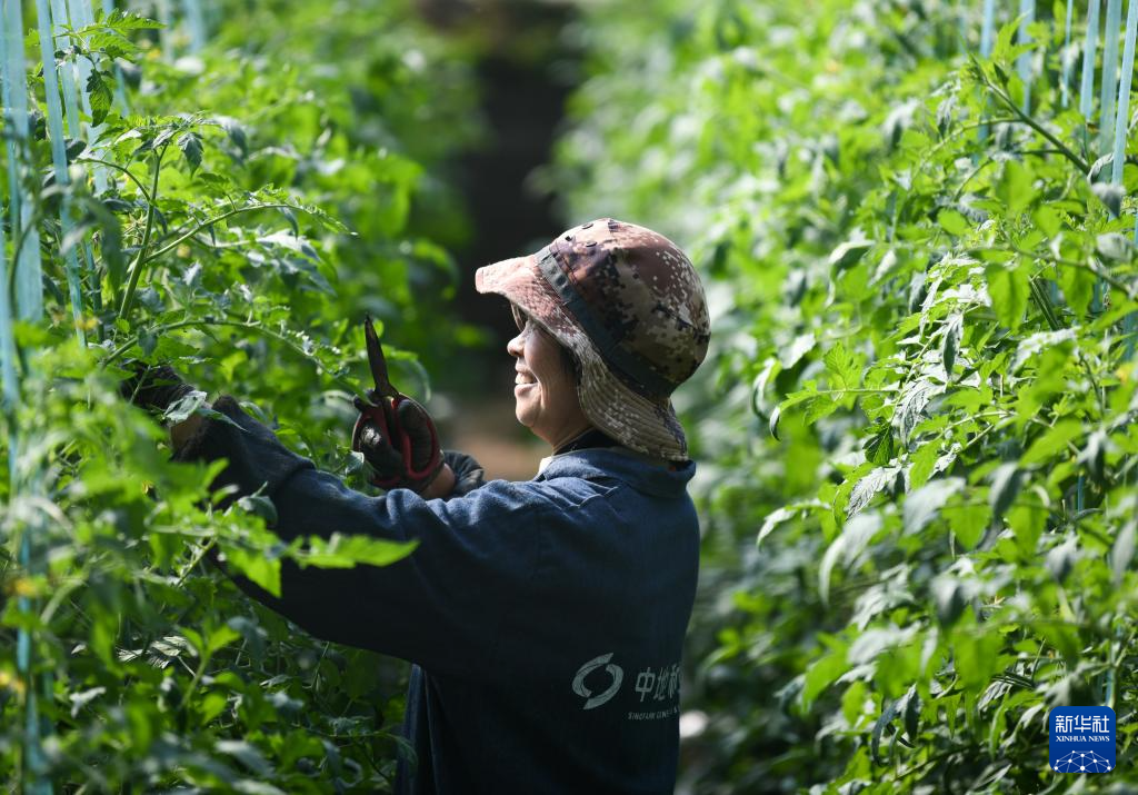 陕西临潼：春分至 农事忙