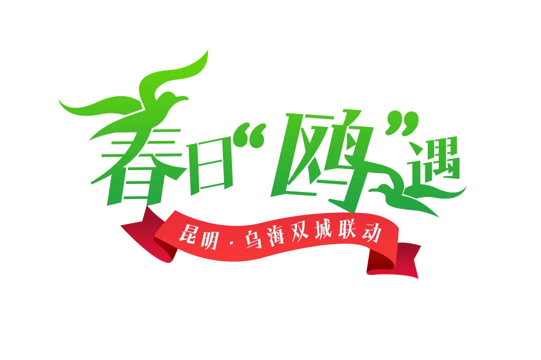 双城告白：来自红嘴鸥的情书