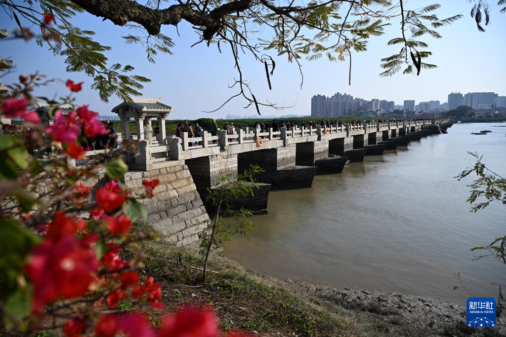 福建泉州：古桥红树共潮生