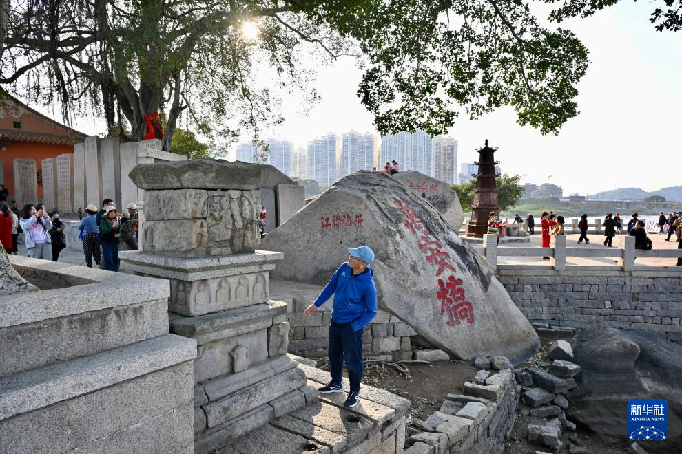 福建泉州：古桥红树共潮生