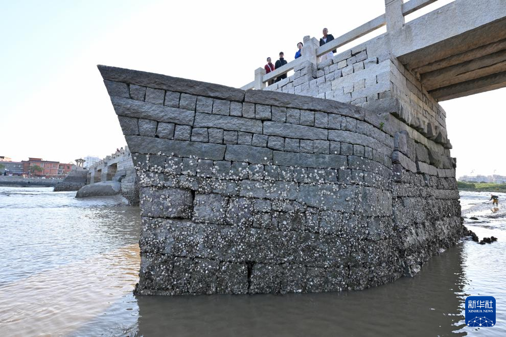 福建泉州：古桥红树共潮生