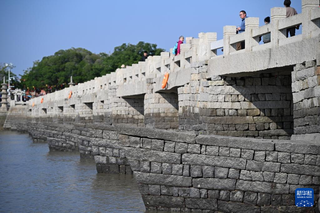 福建泉州：古桥红树共潮生
