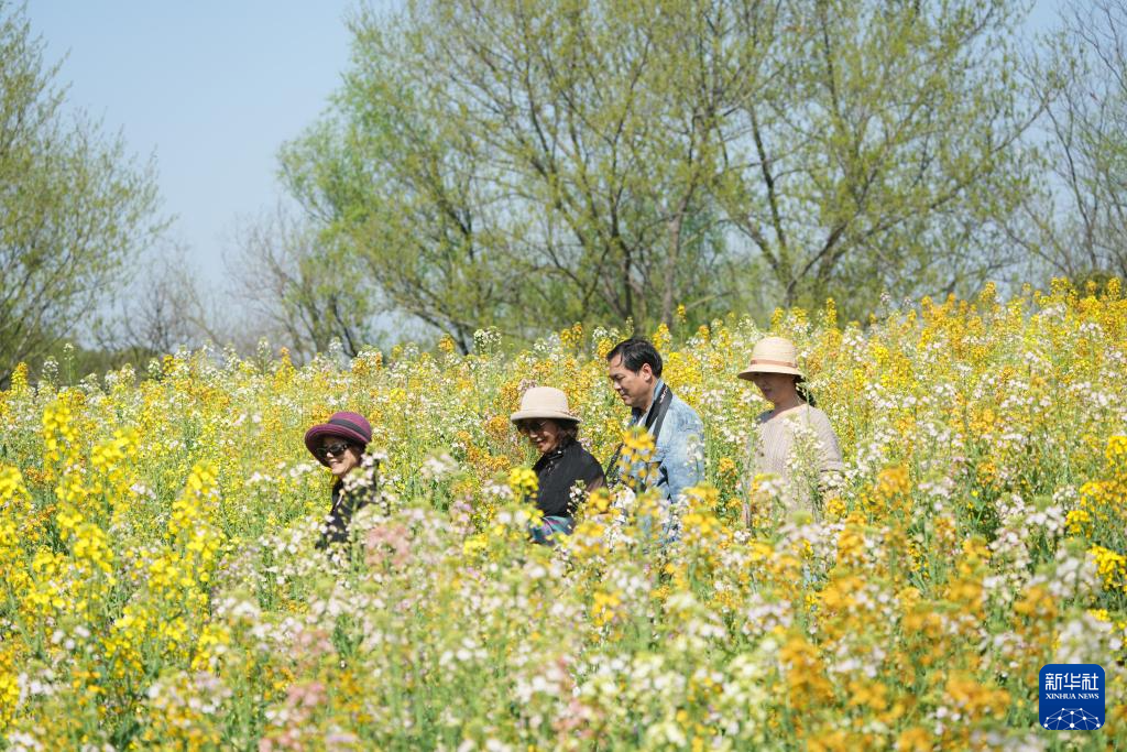 西溪湿地开启花朝节