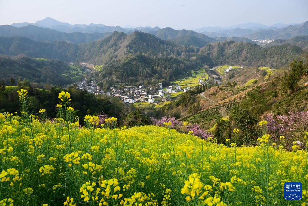 安徽歙县：花满山野春意浓