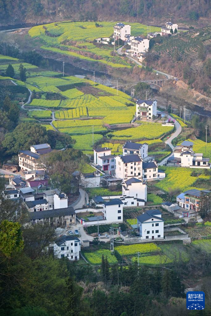 安徽歙县：花满山野春意浓