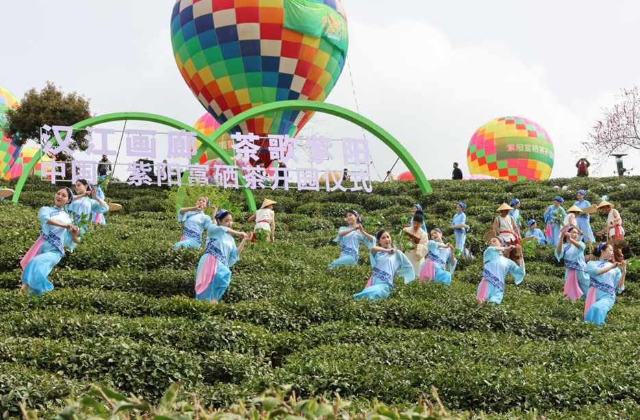 陕西紫阳“开麦吧！茶乡”系列活动启幕 26万亩富硒茶开园