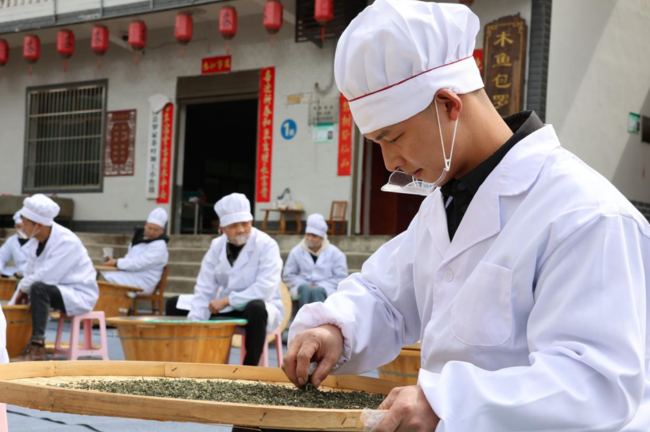 陕西紫阳“开麦吧！茶乡”系列活动启幕 26万亩富硒茶开园