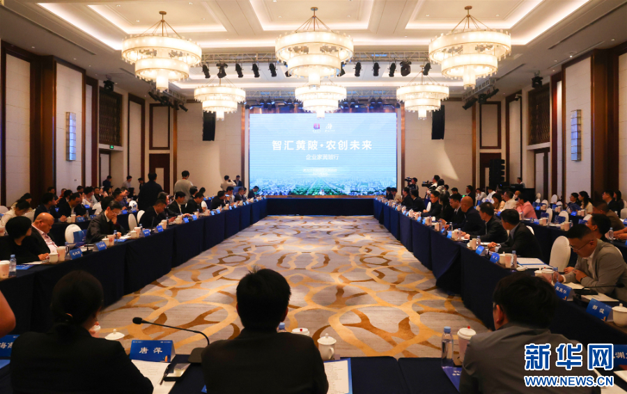 “智汇黄陂·农创未来”企业家黄陂行活动举办