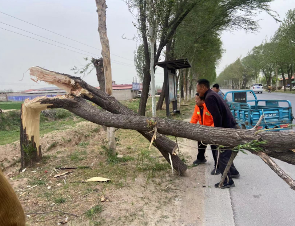 闻“风”而动！开封公路系统筑牢保通防线