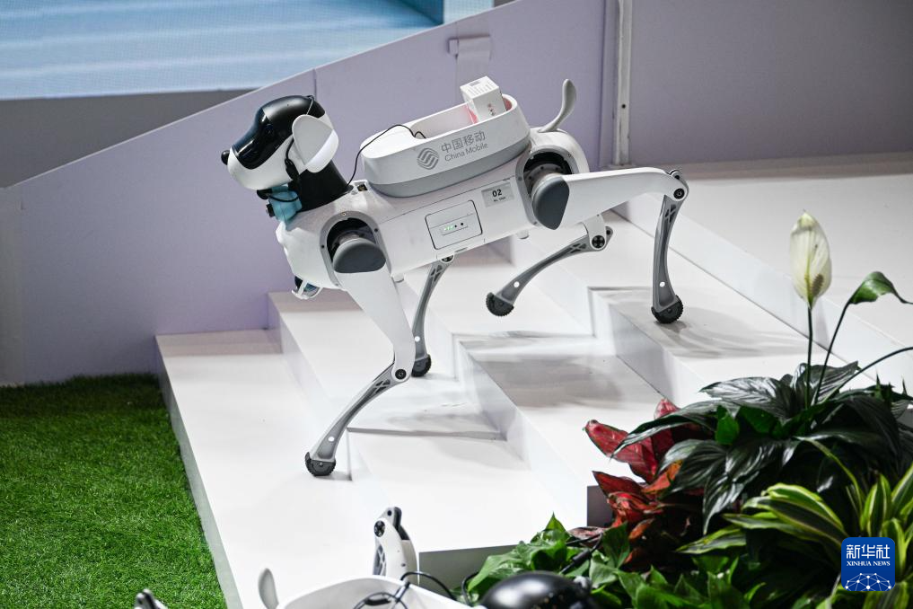 第五届消博会丨多种机器人集结消博会
