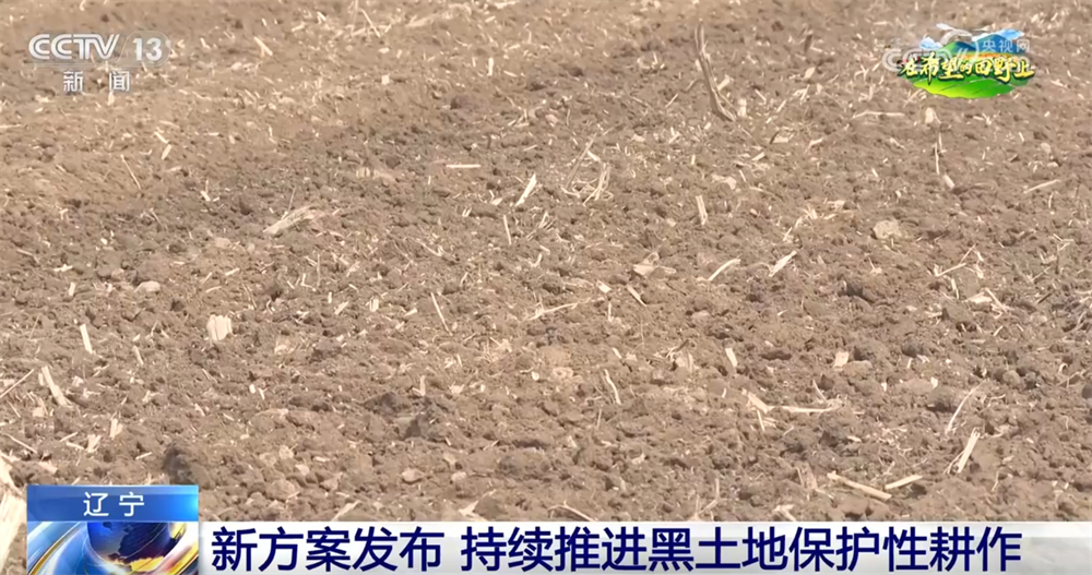 筑牢国家“大粮仓” 这里积极探索让黑土地保护有了新答案 一起了解↓