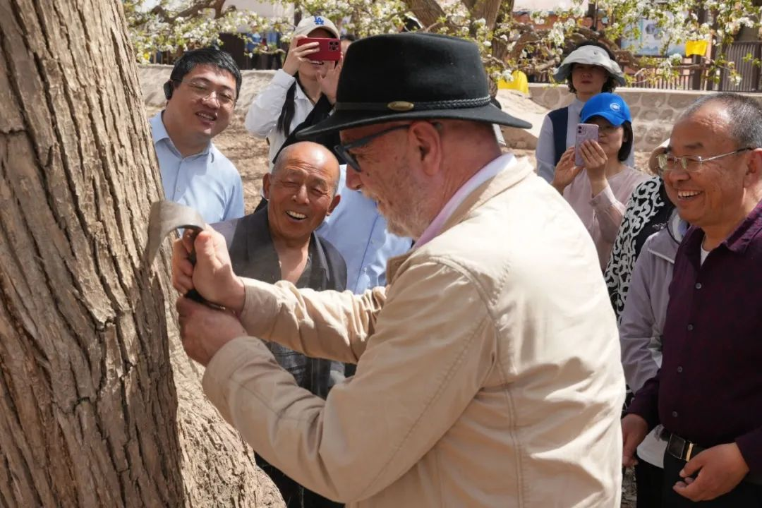 联合国粮农组织专家组赴甘肃皋兰考察古梨园申遗工作
