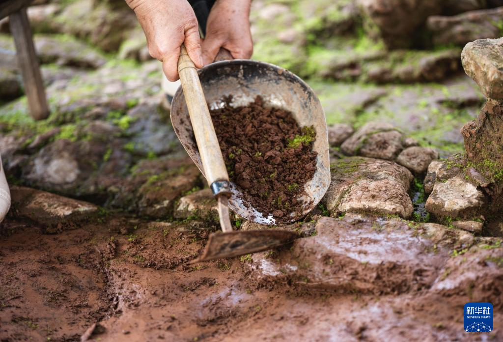 走近四川资阳濛溪河遗址群