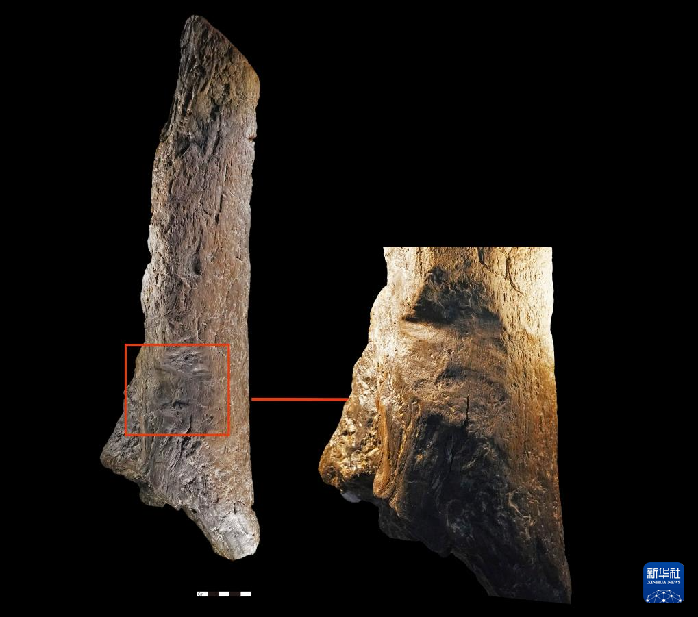 走近四川资阳濛溪河遗址群