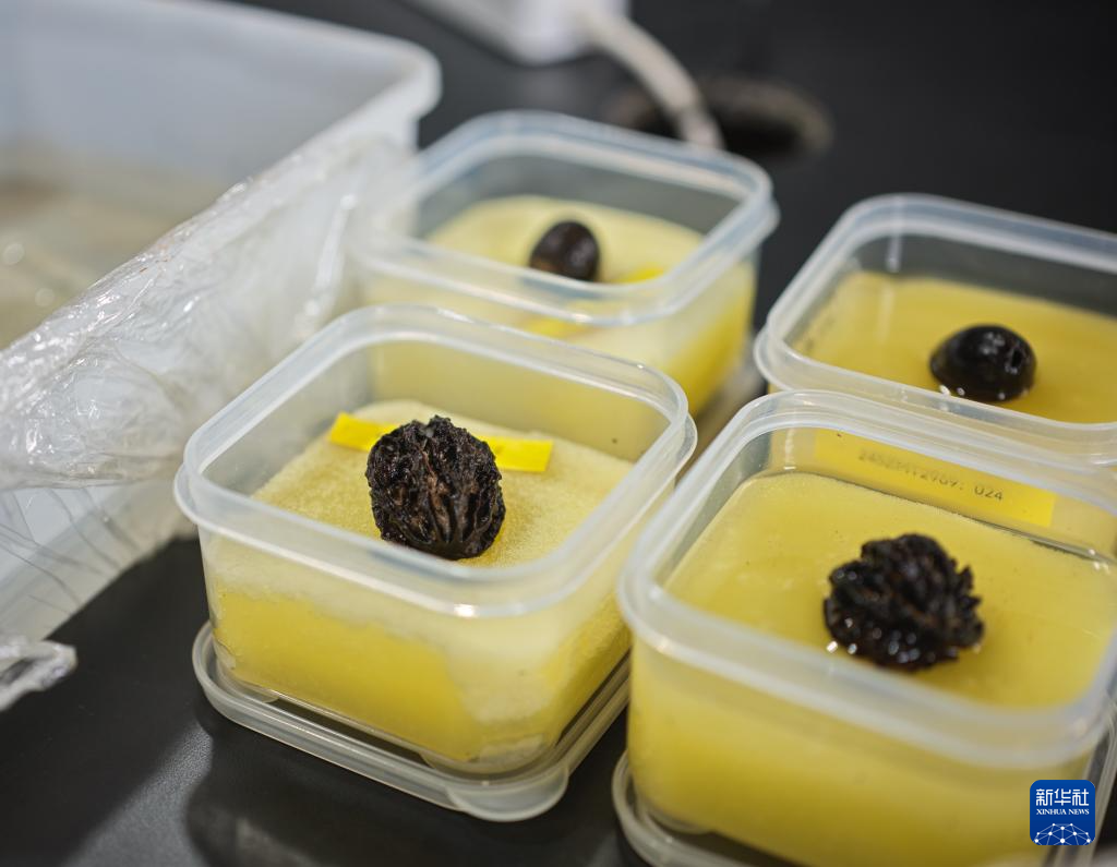 走近四川资阳濛溪河遗址群