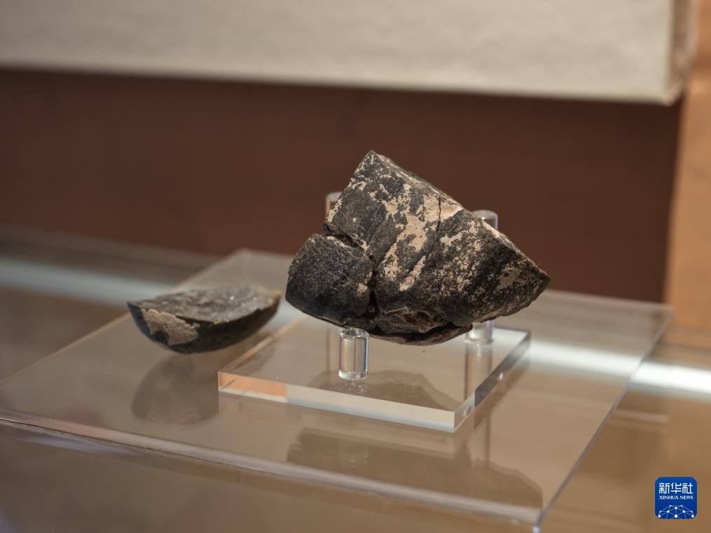 走近四川资阳濛溪河遗址群