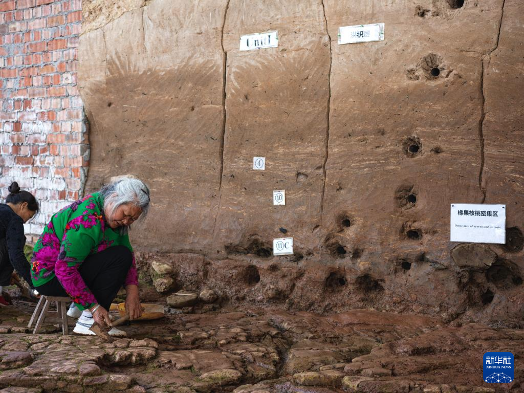走近四川资阳濛溪河遗址群