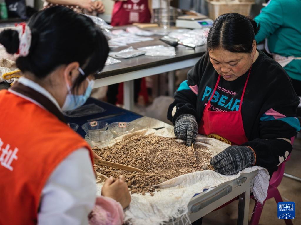 走近四川资阳濛溪河遗址群